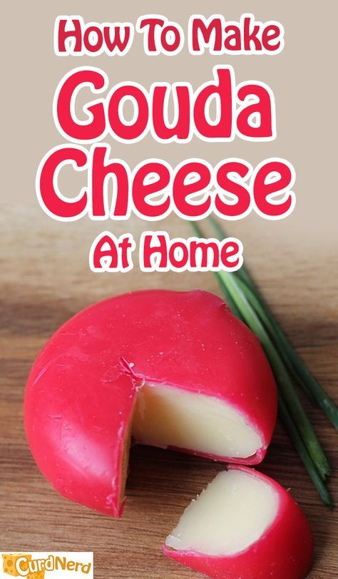 How To Make Gouda Cheese at Home