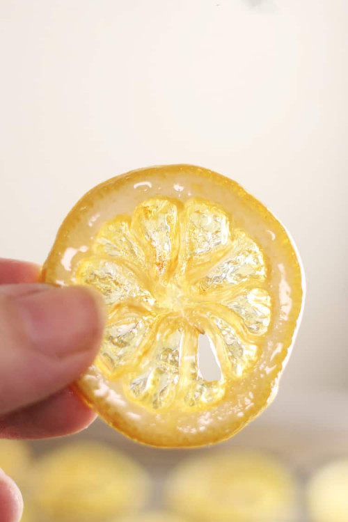 Candied Lemon Slices