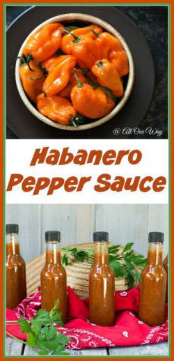Light My Fire Habanero Pepper Sauce