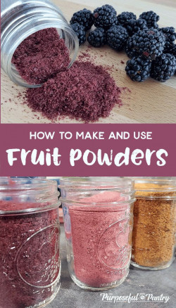 25 Ways to Use Fruit Powders