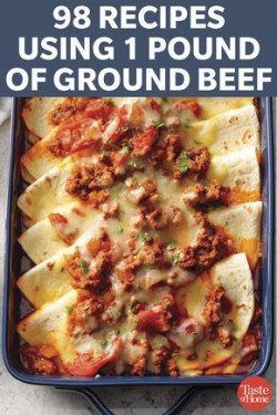 101 Recipes Using 1 Pound Of Ground Beef
