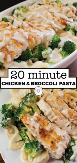 Chicken and Broccoli Pasta Dinner - A Quick and Easy 20 Minute Recipe
