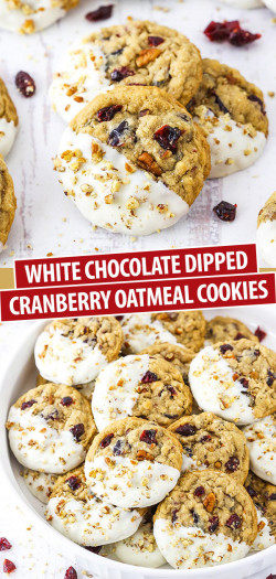 White Chocolate Dipped Cranberry Oatmeal Cookies
